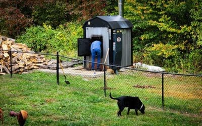 today is… HOT WATER RETURN DAY!