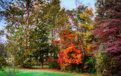 i did what i said i would do when i said i would do it