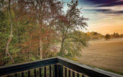 what to do on a day you don’t feel like working