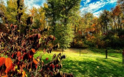 i’m still procrastinating — the floor has yet to be touched