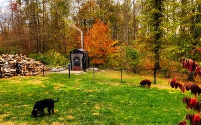 it won’t look like fall for long