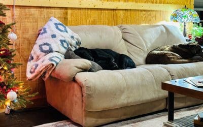 oh, i’m thankful, alright…