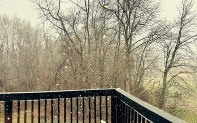 yesterday’s snow was a 2 on a scale of 1 to 10