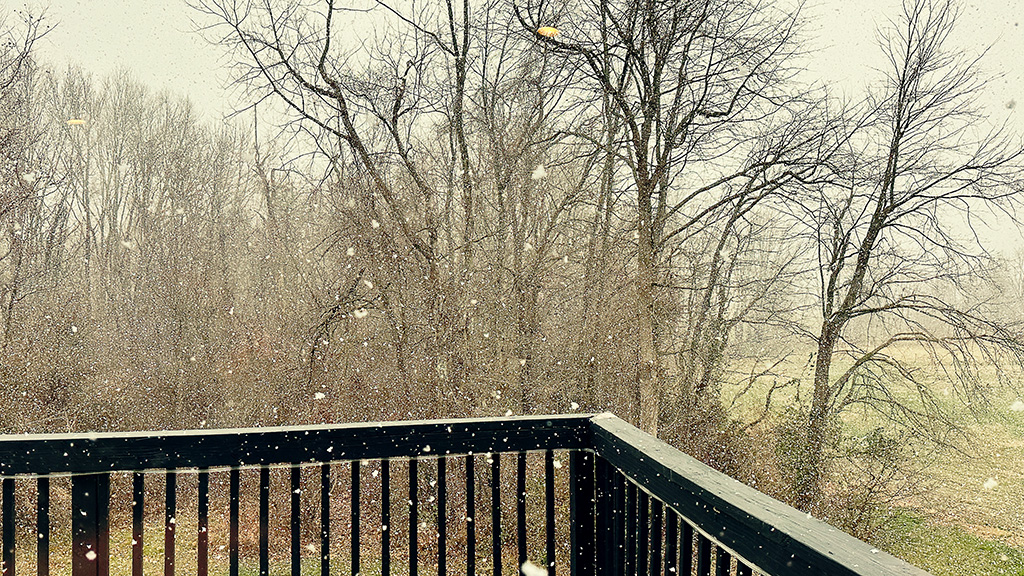 yesterday’s snow was a 2 on a scale of 1 to 10