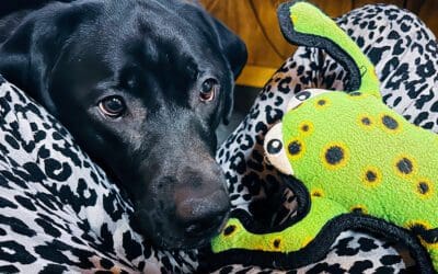 what my OURA ring revealed about 2023