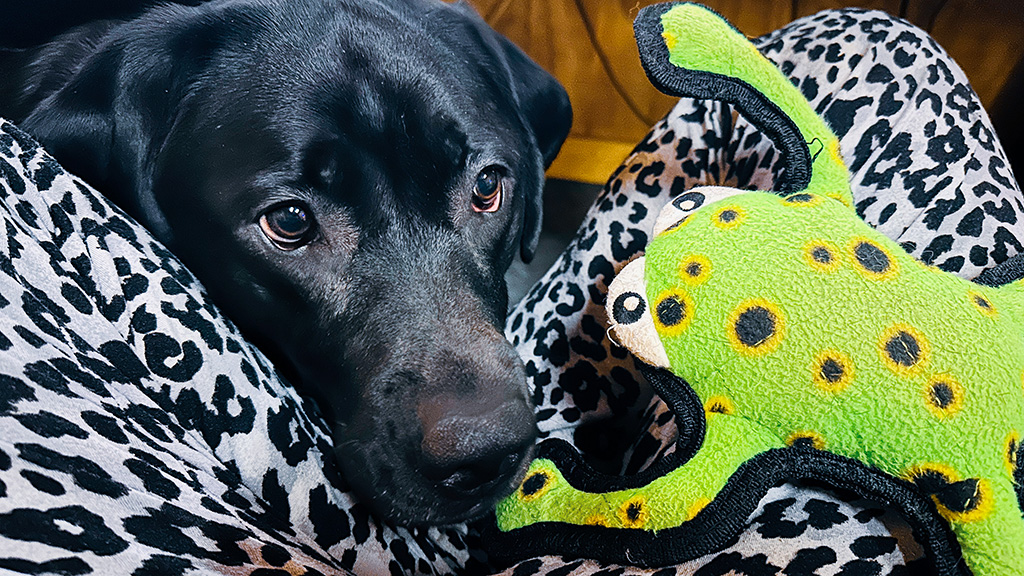 what my OURA ring revealed about 2023