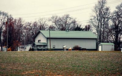 it might be dreary outside, but i can still spy on my pesky neighbors