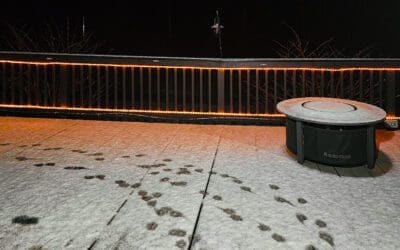 who wants to roast a marshmallow for a s’more?