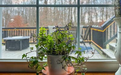 shoe cabinet that can double as office storage
