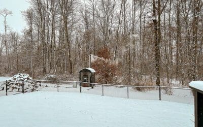 mother nature scores a win… and a fail