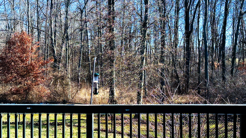 bird feeder hanging on a deck