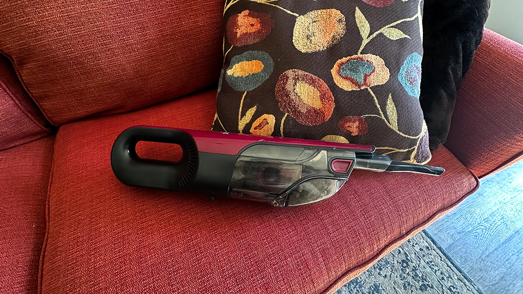 have you ever seen a stink bug eliminator?