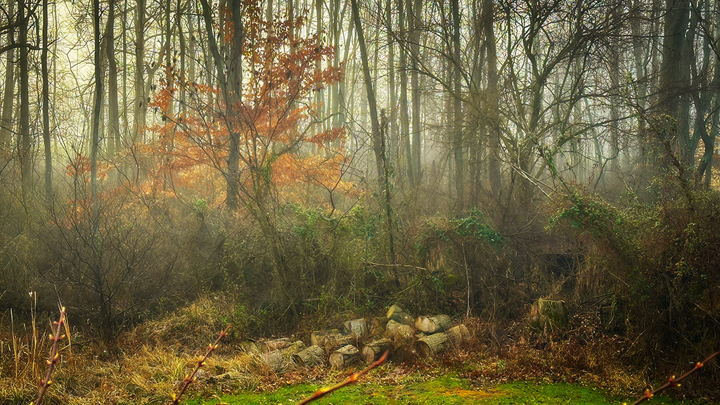 my sleep is wrecked and i’m grumpy