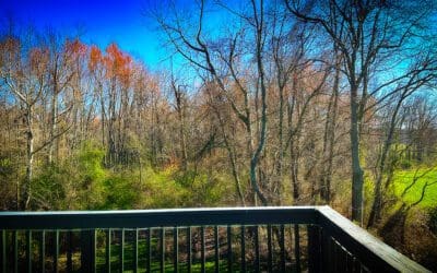 how to keep up with the pesky’s