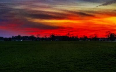 it’s a good thing we aren’t egg hunters