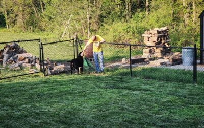 take time to smell the roses — and pet your dog