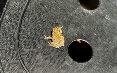 how neighbors can profoundly influence your life