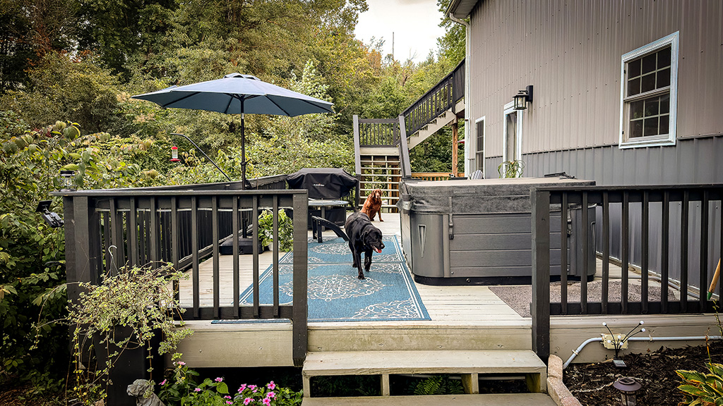 new website. new design. same me.